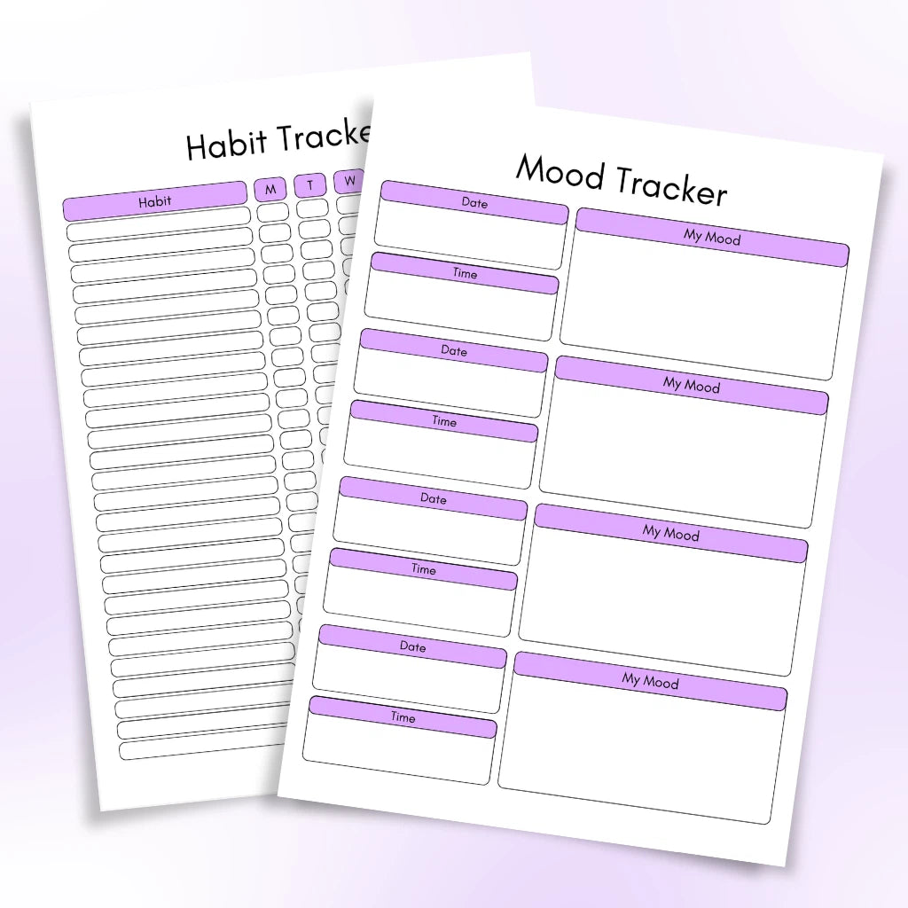 2027 Confidence & Manifestation Journal