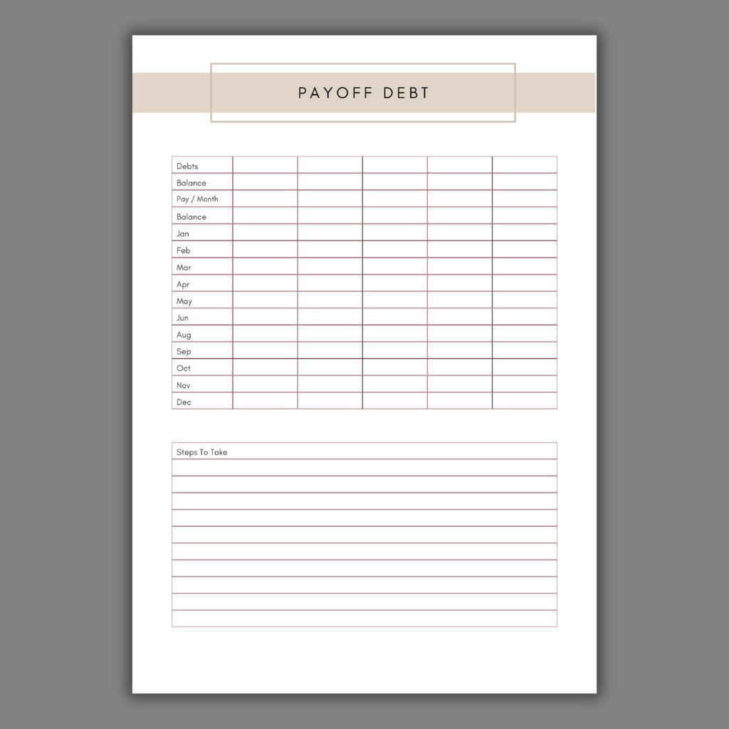 Debt Repayment & Payoff Tracker