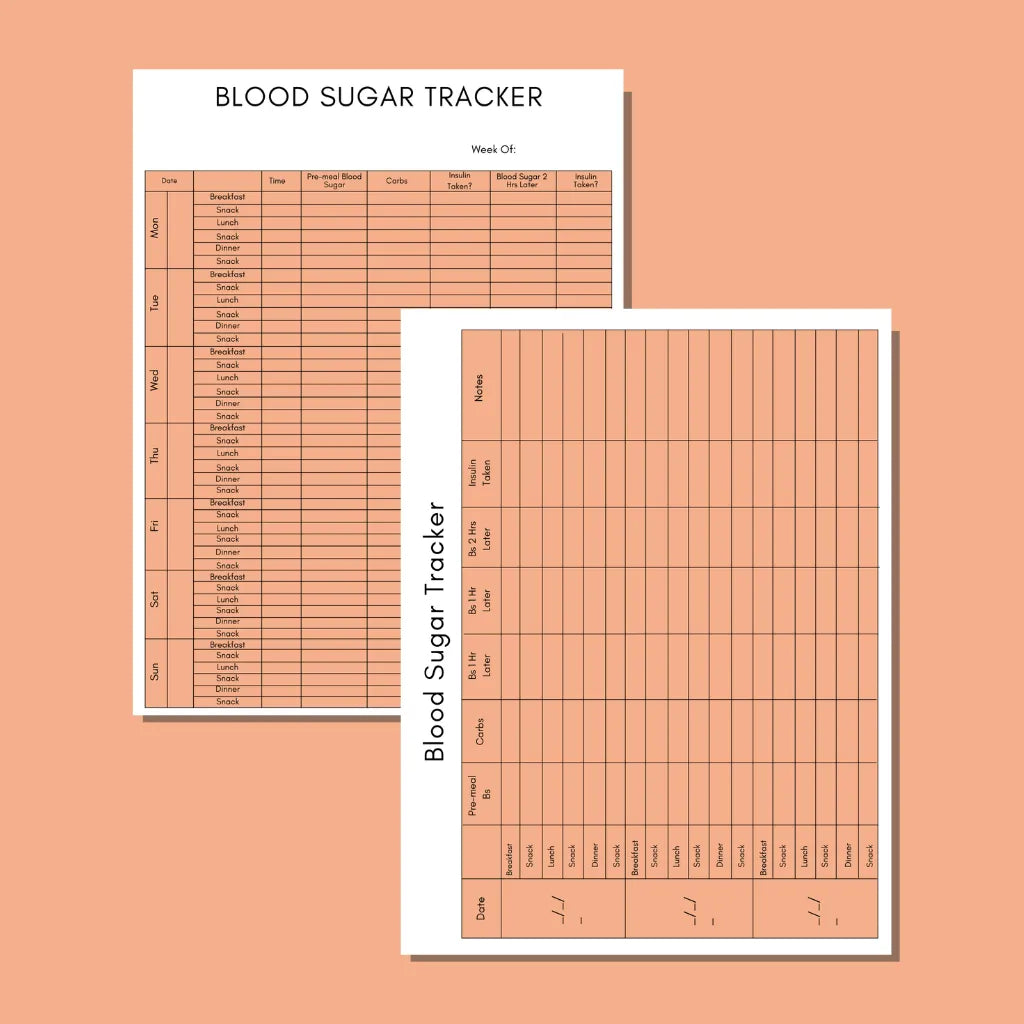 Diabetes Log Book Canva Template