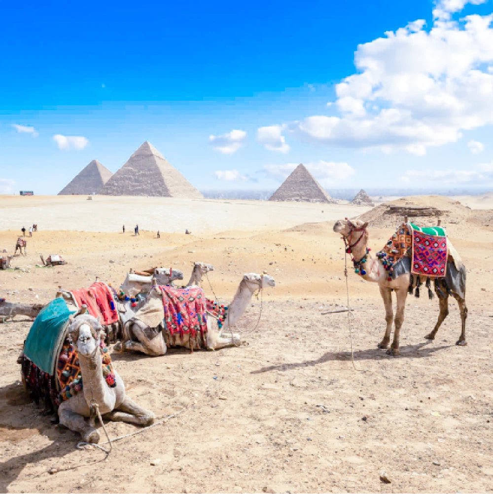Nomadic Lifestyle Lightroom Presets