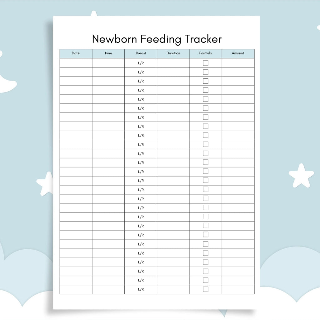 Printable New Parent Organizer