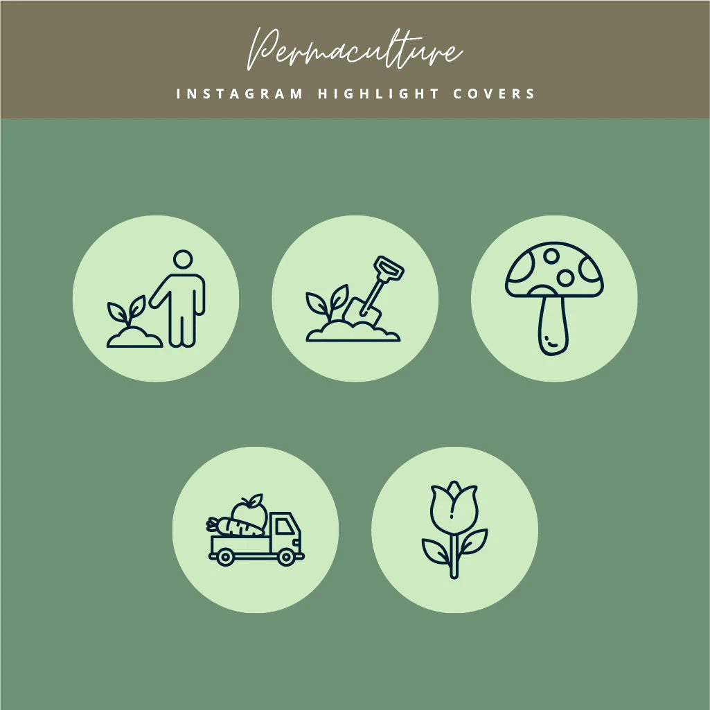 Sustainable Lifestyle Instagram Covers
