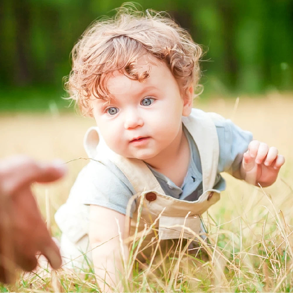 Warm & Light Lightroom Presets