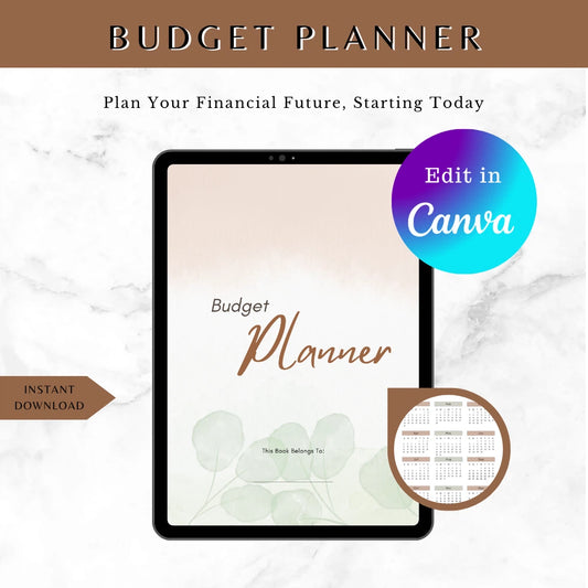 2027 Finance Tracker Canva

