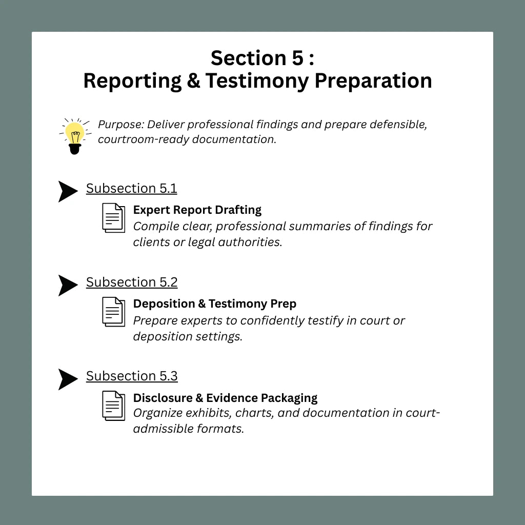 AI-Prompt-Templates-Tailored-For-Forensic-Accountants-Needs
