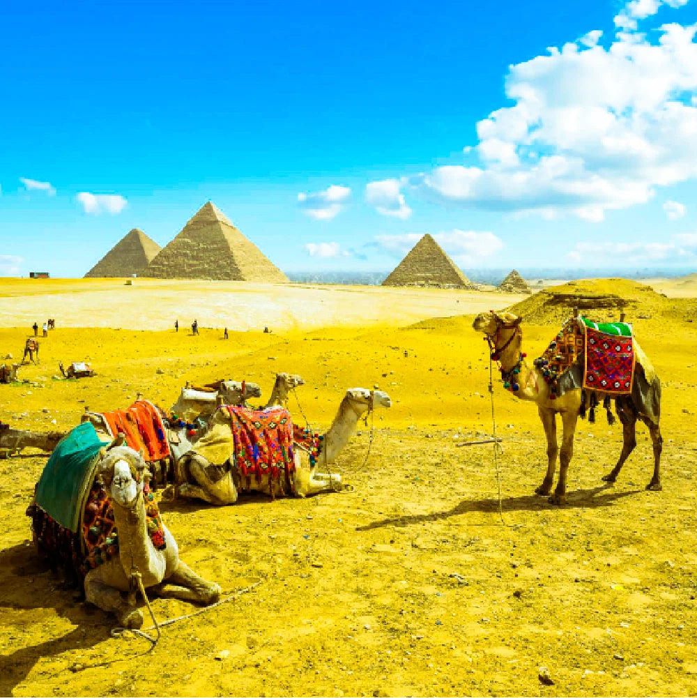 Bedouin Lightroom Presets