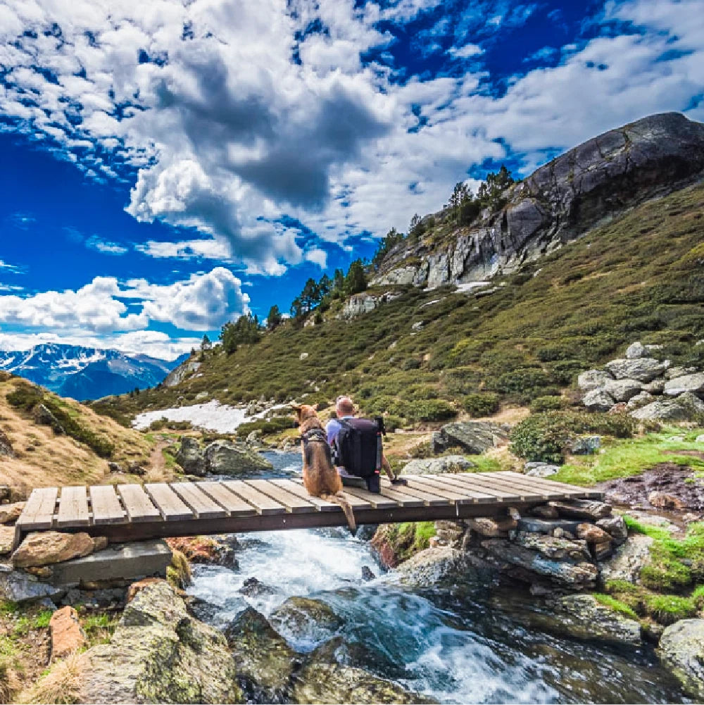 Cinematic Outdoor Lightroom Presets

