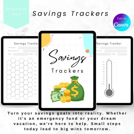 Editable Money Tracker Canva