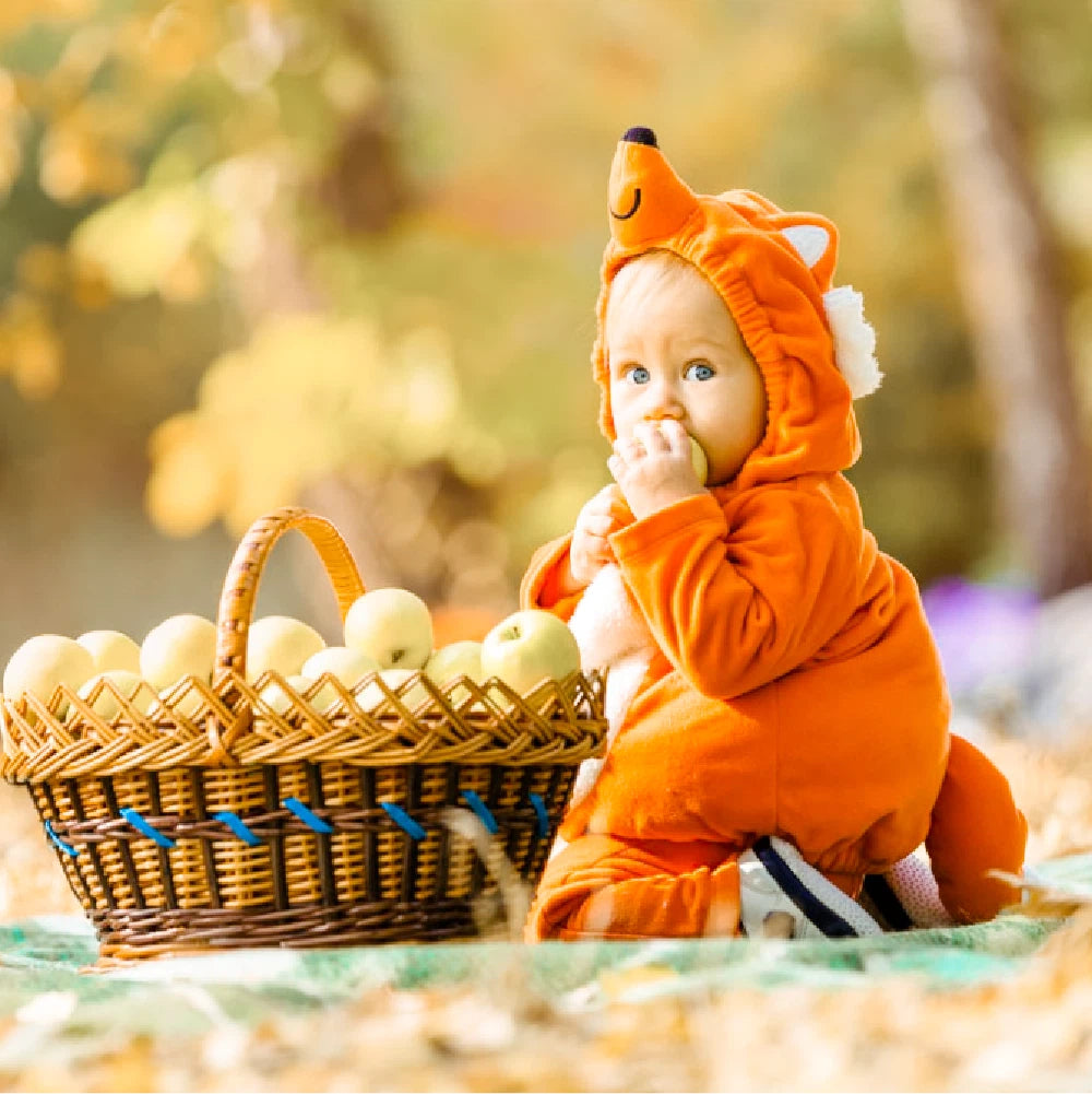 Fall Baby Lightroom Filter Collection


