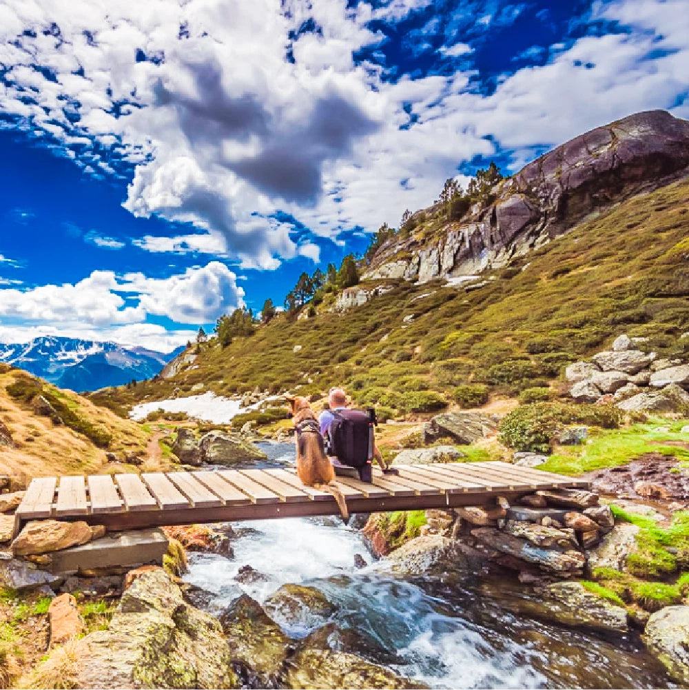 Hiking Adventure Lightroom Filters

