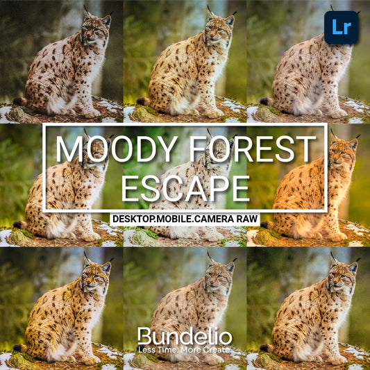 Moody Lightroom Presets for Nature Photography

