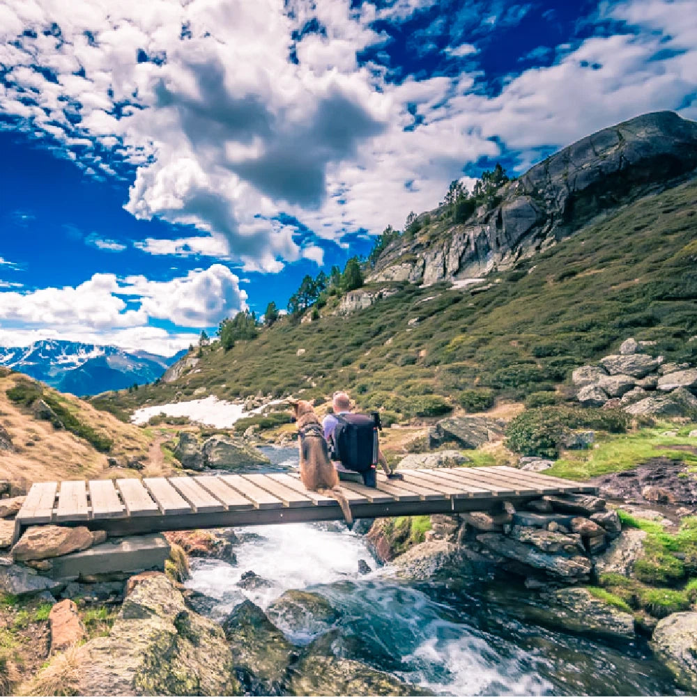 Mountain Landscape Lightroom Presets

