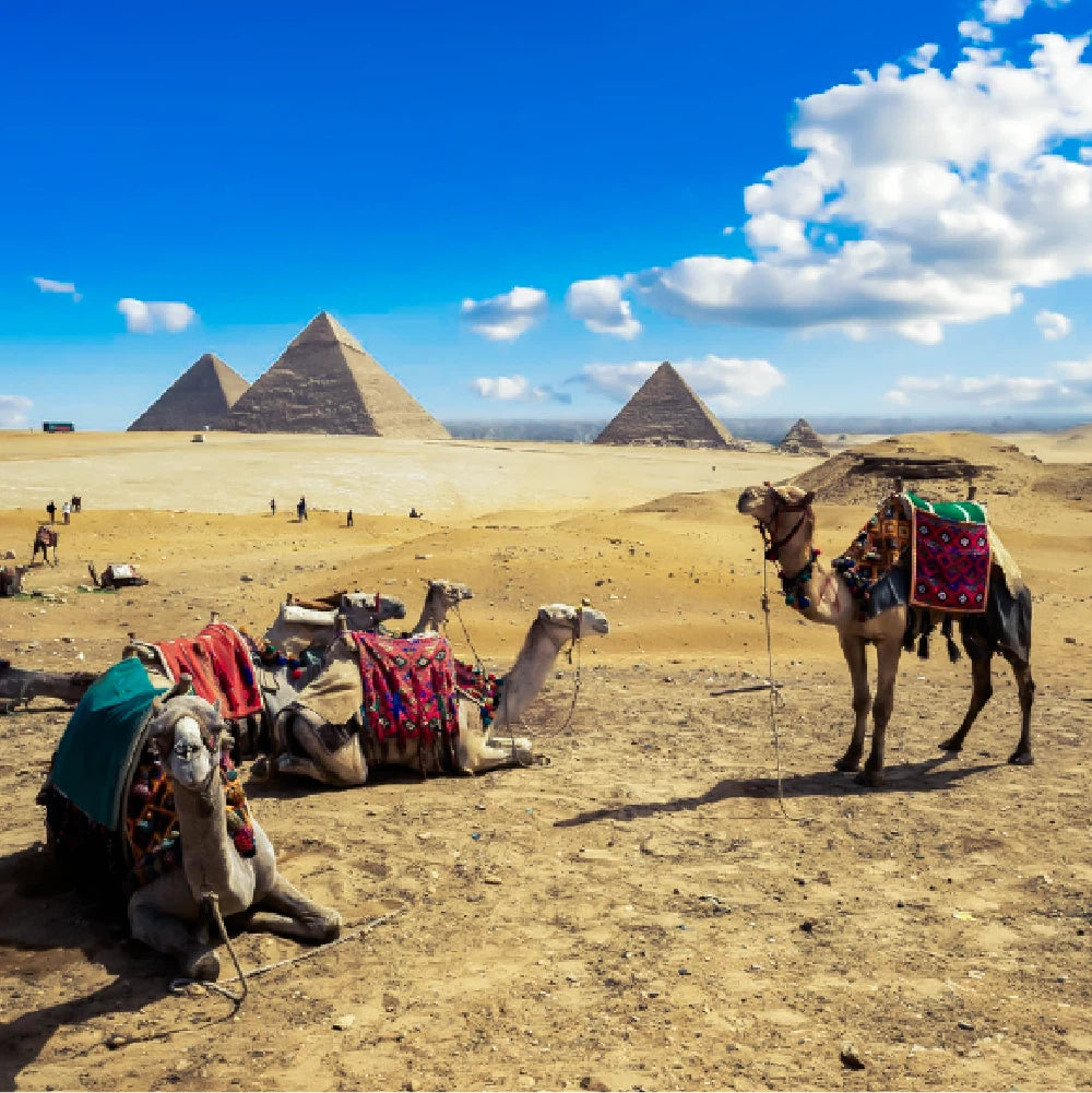 Sahara Lightroom Presets