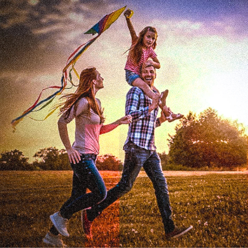 Sunlit Outdoor Lightroom Filters

