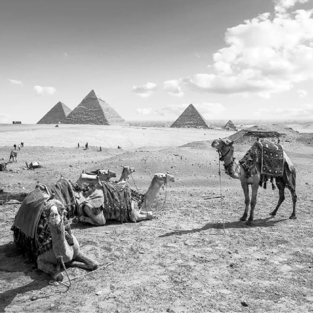 Warm Earth Lightroom Preset Collection

