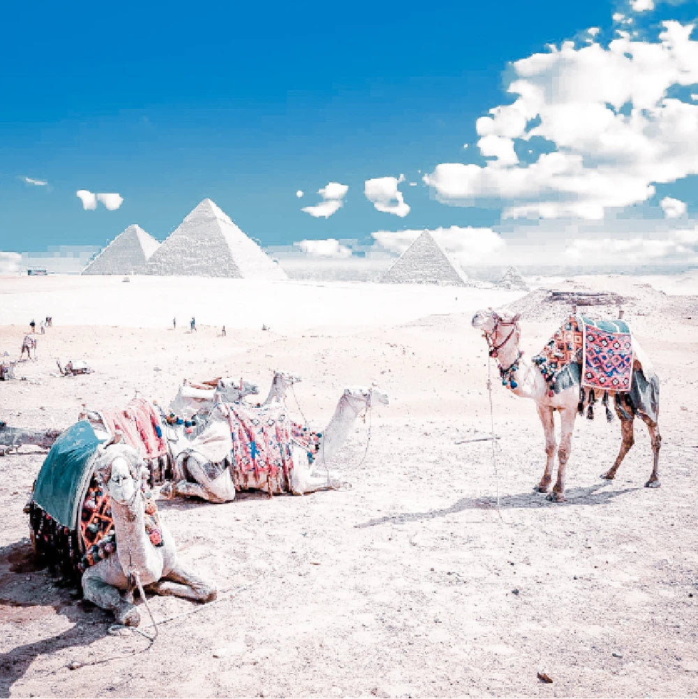 Warm Earth Lightroom Presets